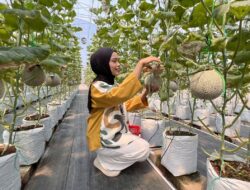 Dispora Kaltim Jalankan Konsep Spoturism Sejak 2021: Olahraga di Kebun Buah Dengan Tarif Terjangkau