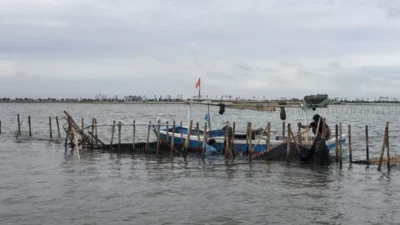 Libatkan Nelayan, TNI AL Targetkan Pembongkaran Pagar Laut di Tangerang Selesai dalam 10 Hari