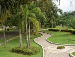 DPRD Samarinda Dorong Perluasan Ruang Terbuka Hijau untuk Mitigasi Bencana