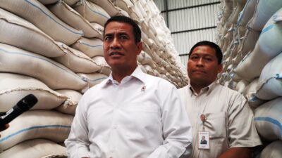 Indonesia Siap Ekpor Beras ke Negara Tetangga, Tahap Awal ke Malaysia
