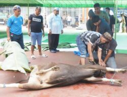 DLH Samarinda Nilai Masyarakat Mulai Patuhi Edaran Wali Kota Soal Sampah Kurban