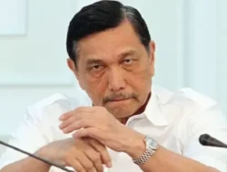 Luhut Bantah Isu Kepemilikan PT Toba Pulp Lestari