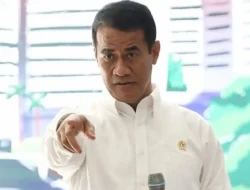 Tidak Ada Kelangkaan, Pemerintah Pastikan Stok Beras Nasional Melimpah