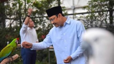 Menteri Sosial (Mensos) Saifullah Yusuf