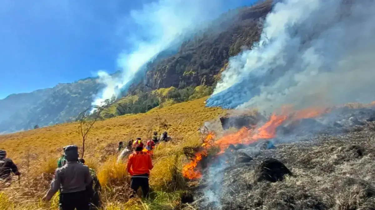 Kebakaran hutan dan lahan (karhutla) yang melanda kawasan Gunung Bromo di Taman Nasional Bromo Tengger Semeru (TNBTS)
