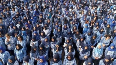 Pegawai Pemerintah dengan Perjanjian Kerja (PPPK)