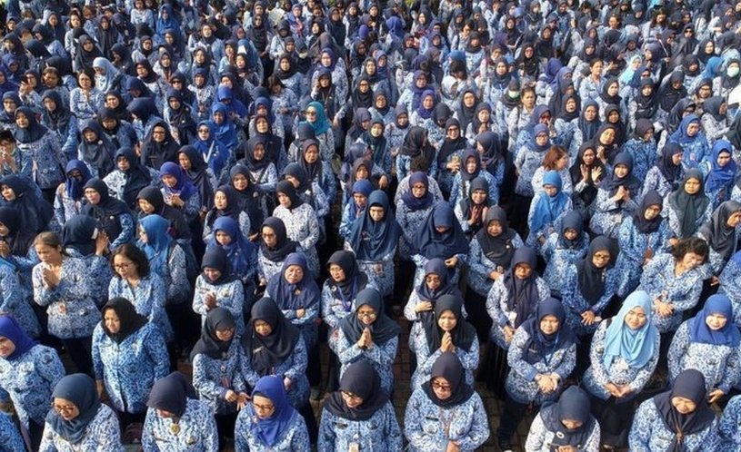 Pegawai Pemerintah dengan Perjanjian Kerja (PPPK)