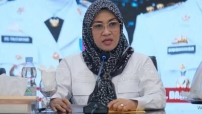Bupati Gowa, Sitti Husniah Talenrang