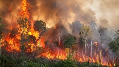 Kebakaran hutan dan lahan (karhutla) di Kalimantan Timur (Kaltim)