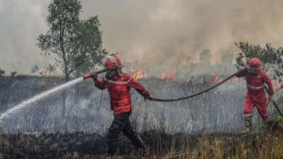 Kebakaran hutan dan lahan (karhutla)