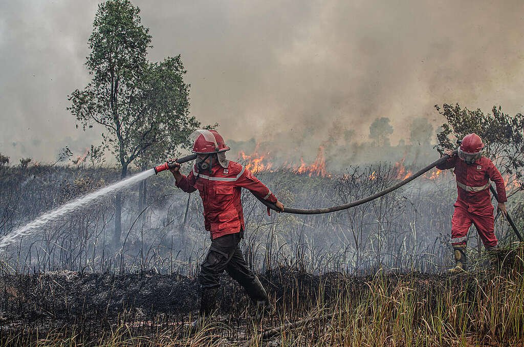 Kebakaran hutan dan lahan (karhutla)